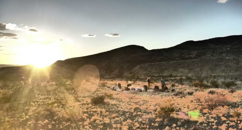 a group of people rest among a desert landscape